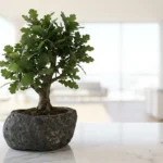 Build a Stable Business Without Chasing Every Trend Build a Stable Business Without Chasing Every Trend